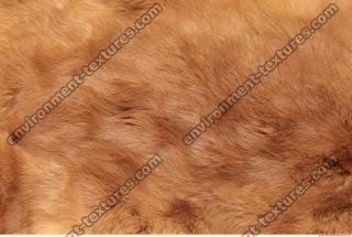 Photo Texture of Fabric Fur 0004